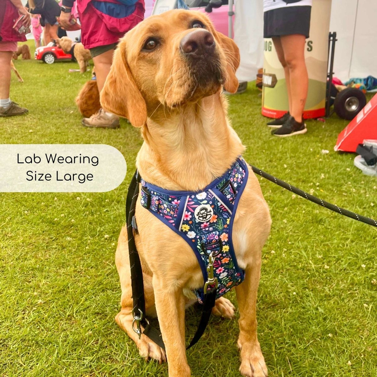 PupClub Couture Rugged Rover Harness - Summer Meadow
