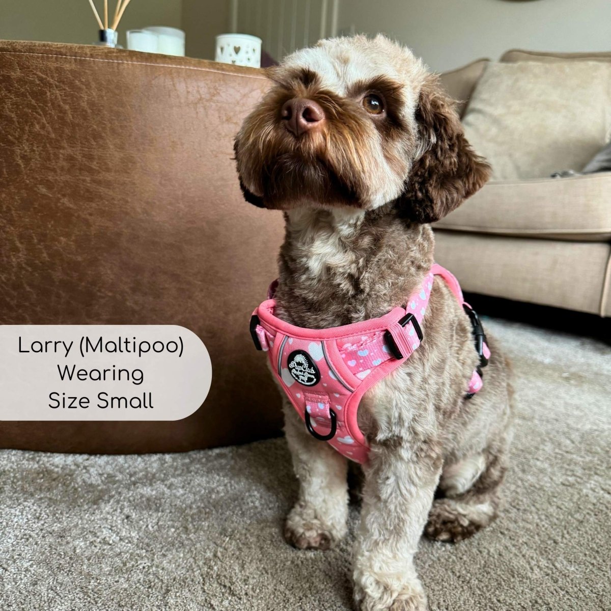 PupClub Couture Rugged Rover Harness - Peachy Hearts