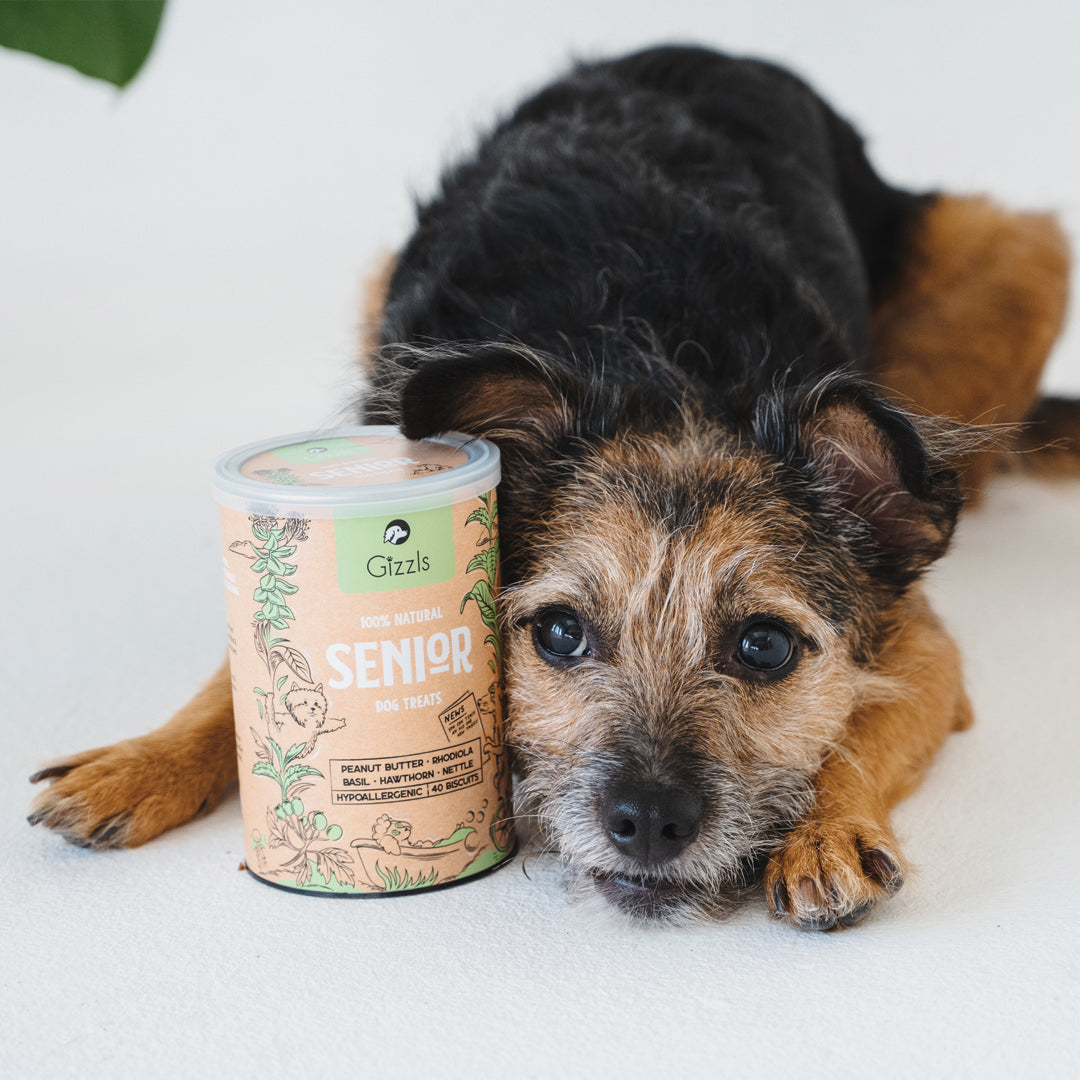 Gizzls Senior Dog Treats