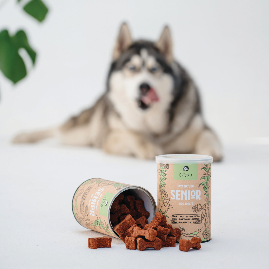 Gizzls Senior Dog Treats