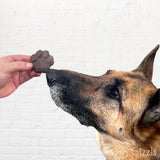 Zoomie Bites – Peanut Butter & Banana Dog Treats