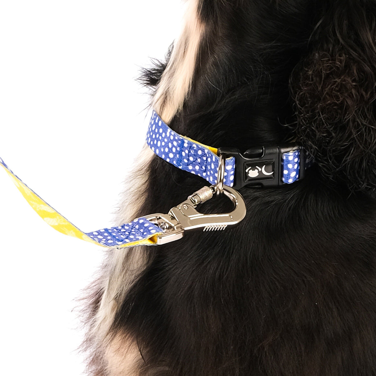 SnazzyTails The Minnie Dog Lead Blue & Yellow Polka Dot