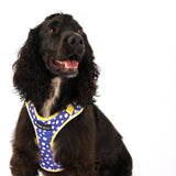 SnazzyTails The Minnie Mesh Dog Harness Blue Polka Dot & Yellow Pineapple