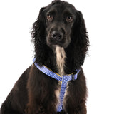 SnazzyTails Minnie Step-In Dog Harness Blue Polka Dot and Yellow Pineapple Print