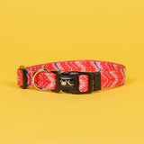 SnazzyTails Tod Dog Collar Red Chevron