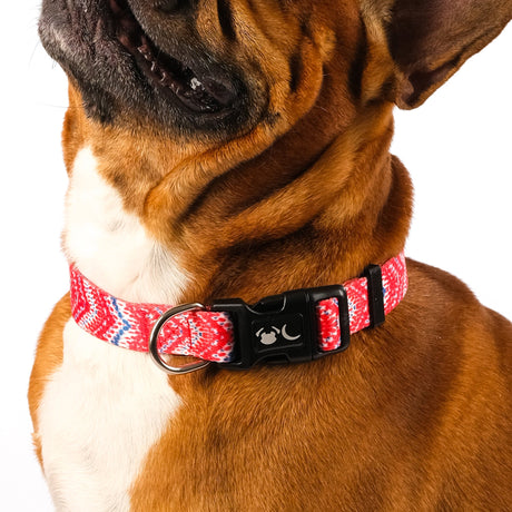 SnazzyTails Tod Dog Collar Red Chevron