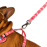 SnazzyTails Tod Dog Lead Red Chevron