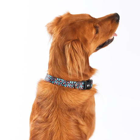 SnazzyTails Willow Dog Collar Leopard Print