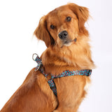 SnazzyTails Willow Step-In Dog Harness - Blue Leopard Print