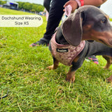 PupClub Couture Luxe Mocha Petals Adjustable Dog Harness