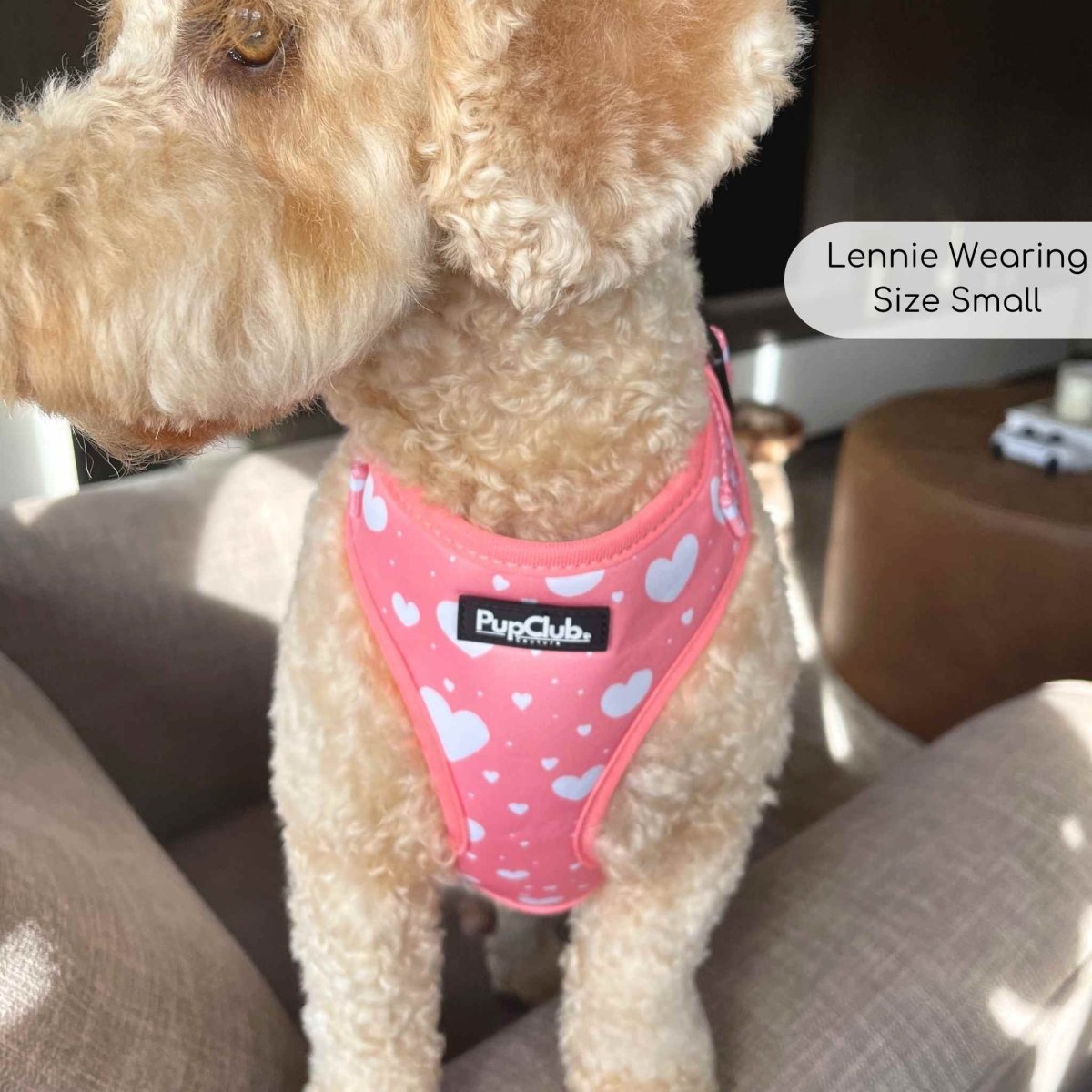 PupClub Couture Adjustable Harness - Peachy Hearts