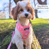 PupClub Couture Adjustable Harness - Peachy Hearts