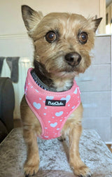 PupClub Couture Adjustable Harness - Peachy Hearts