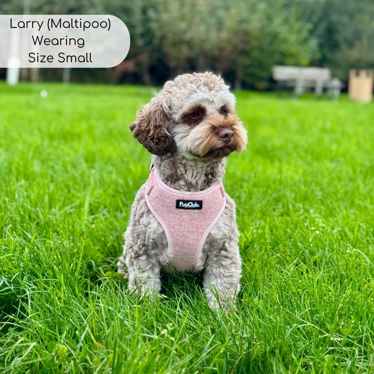 PupClub Couture Tweed Adjustable Harness - Pink