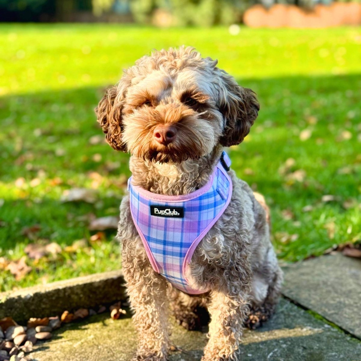 PupClub Couture Adjustable Harness - Pink Tartan