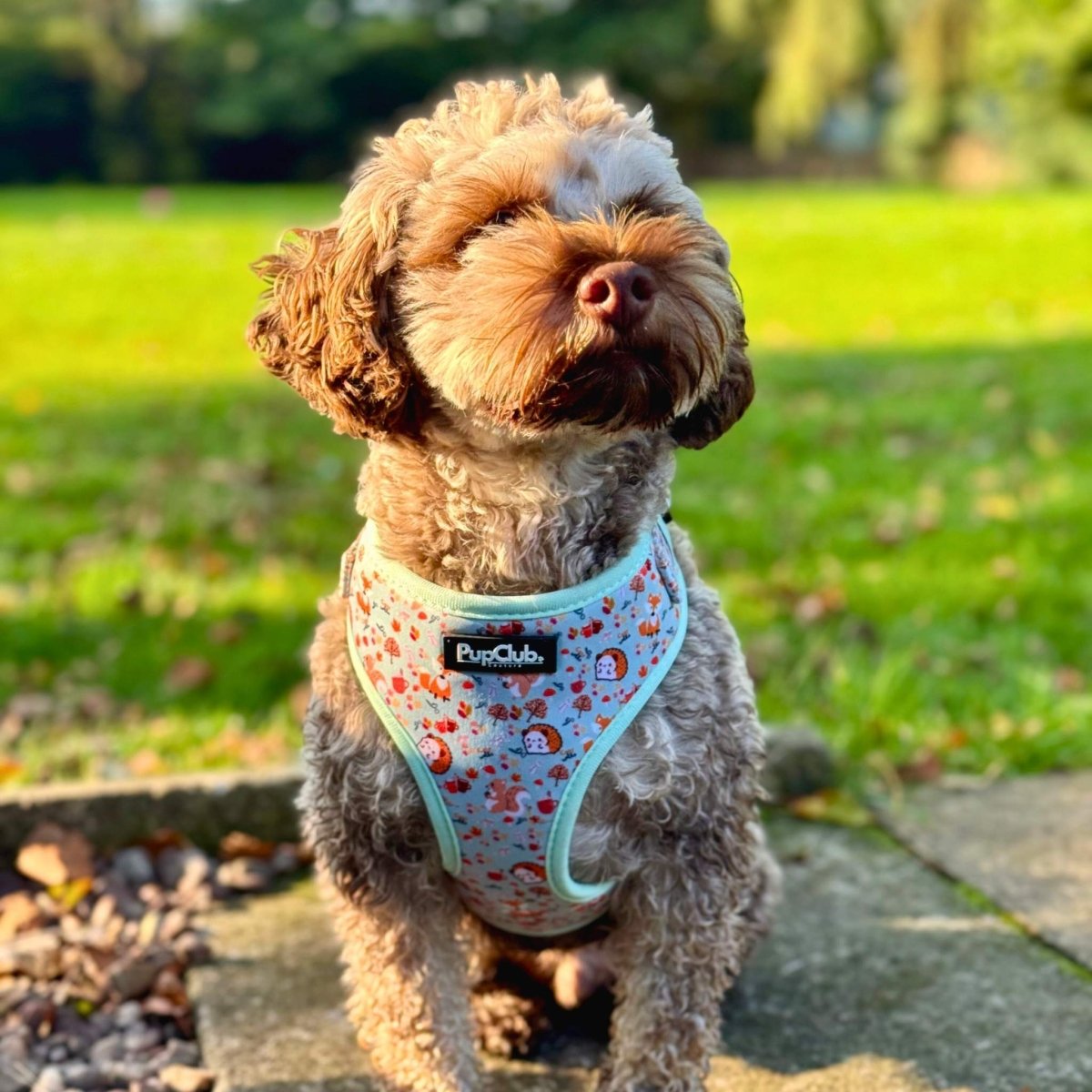 PupClub Couture Adjustable Harness - Woodland Friends