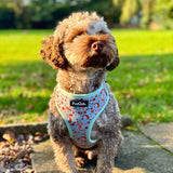 PupClub Couture Adjustable Harness - Woodland Friends