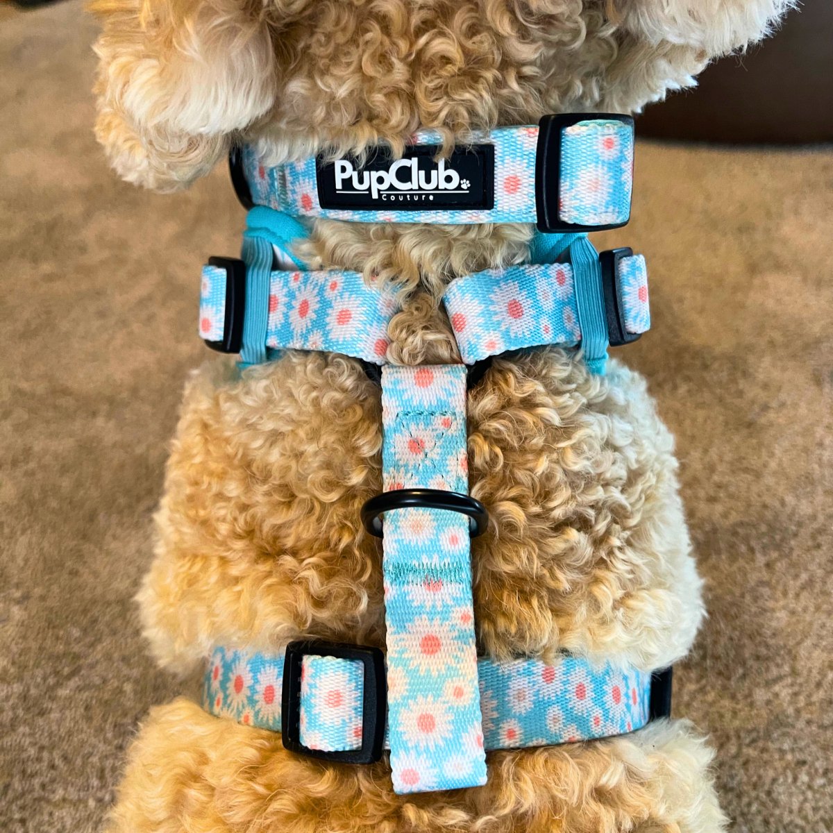 PupClub Couture Dog Collar - Pastel Daisy