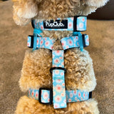 PupClub Couture Dog Collar - Pastel Daisy