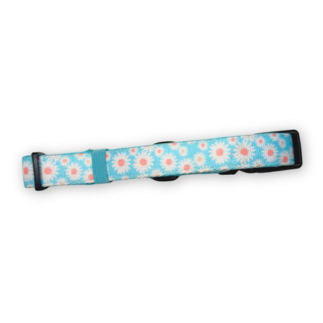 PupClub Couture Dog Collar - Pastel Daisy
