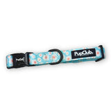 PupClub Couture Dog Collar - Pastel Daisy