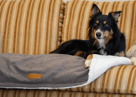 Ralph & Co The Lincoln Tweed & Faux Fur Reversible Dog Blanket - Brown Herringbone
