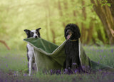 Ralph & Co The Richmond Stonewashed & Sherpa Reversible Dog Blanket - Green