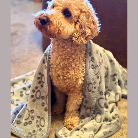 PupClub Couture Dog Blanket - Grey Paws
