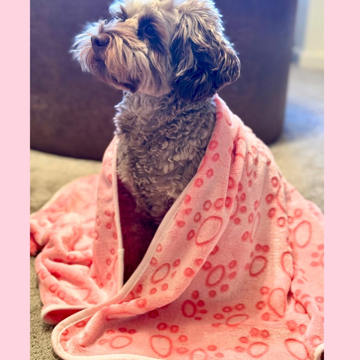 PupClub Couture Dog Blanket - Pink Paws