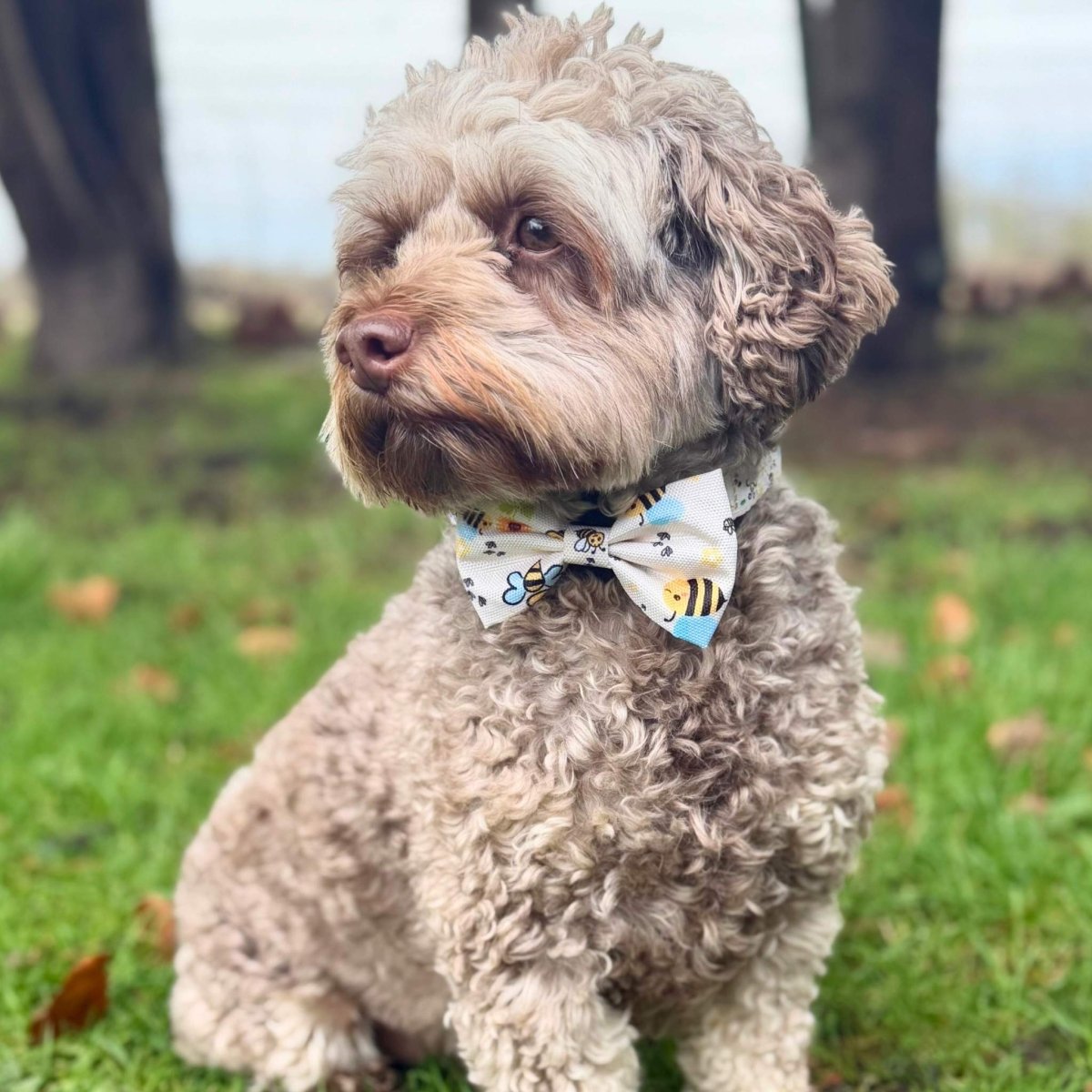 PupClub Couture Dog Bow Tie - Bee-Utiful Summer