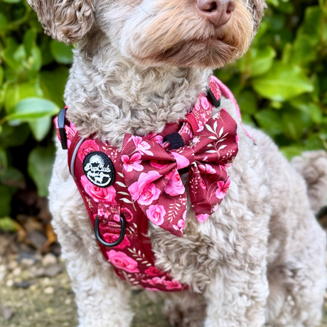 PupClub Couture Dog Sailor Bow - Burgundy Bloom