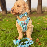 PupClub Couture Dog Bow Tie - Jurassic Party
