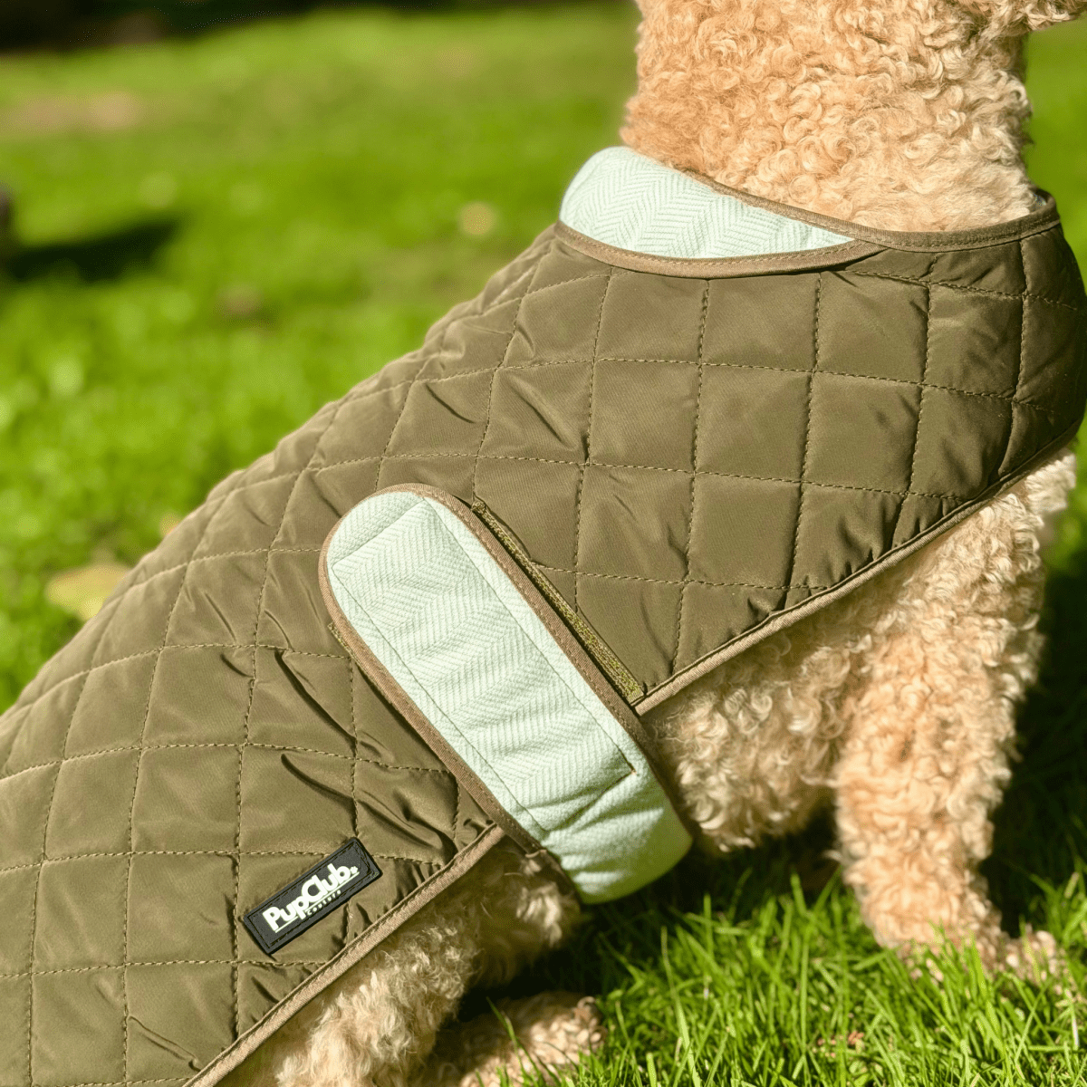 PupClub Couture Quilted Dog Coat - Khaki Tweed