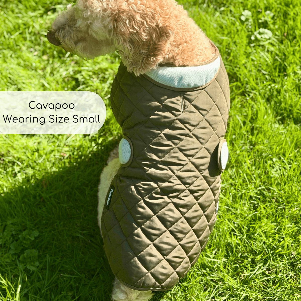 PupClub Couture Quilted Dog Coat - Khaki Tweed