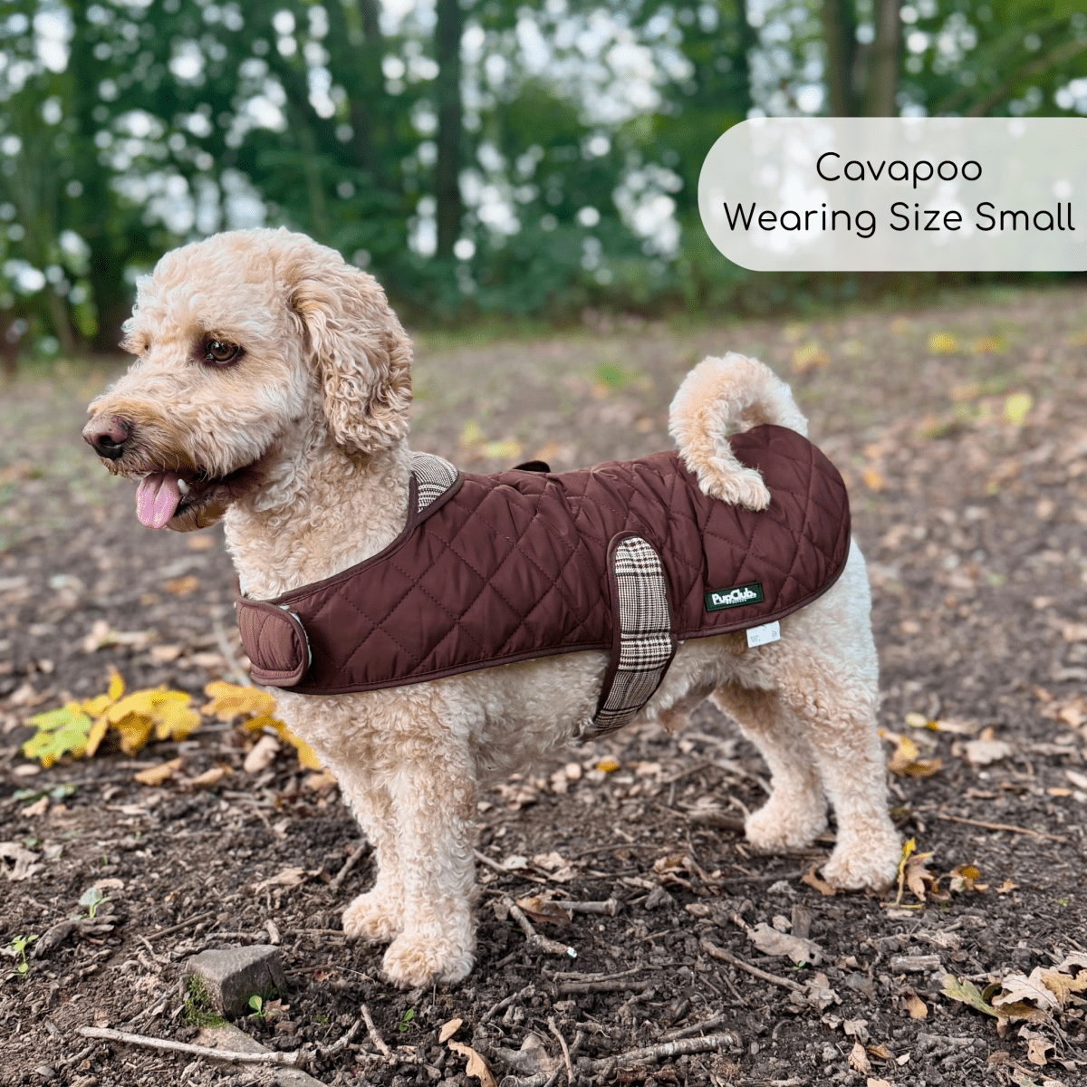 PupClub Couture Quilted Dog Coat - Foxbury Plaid