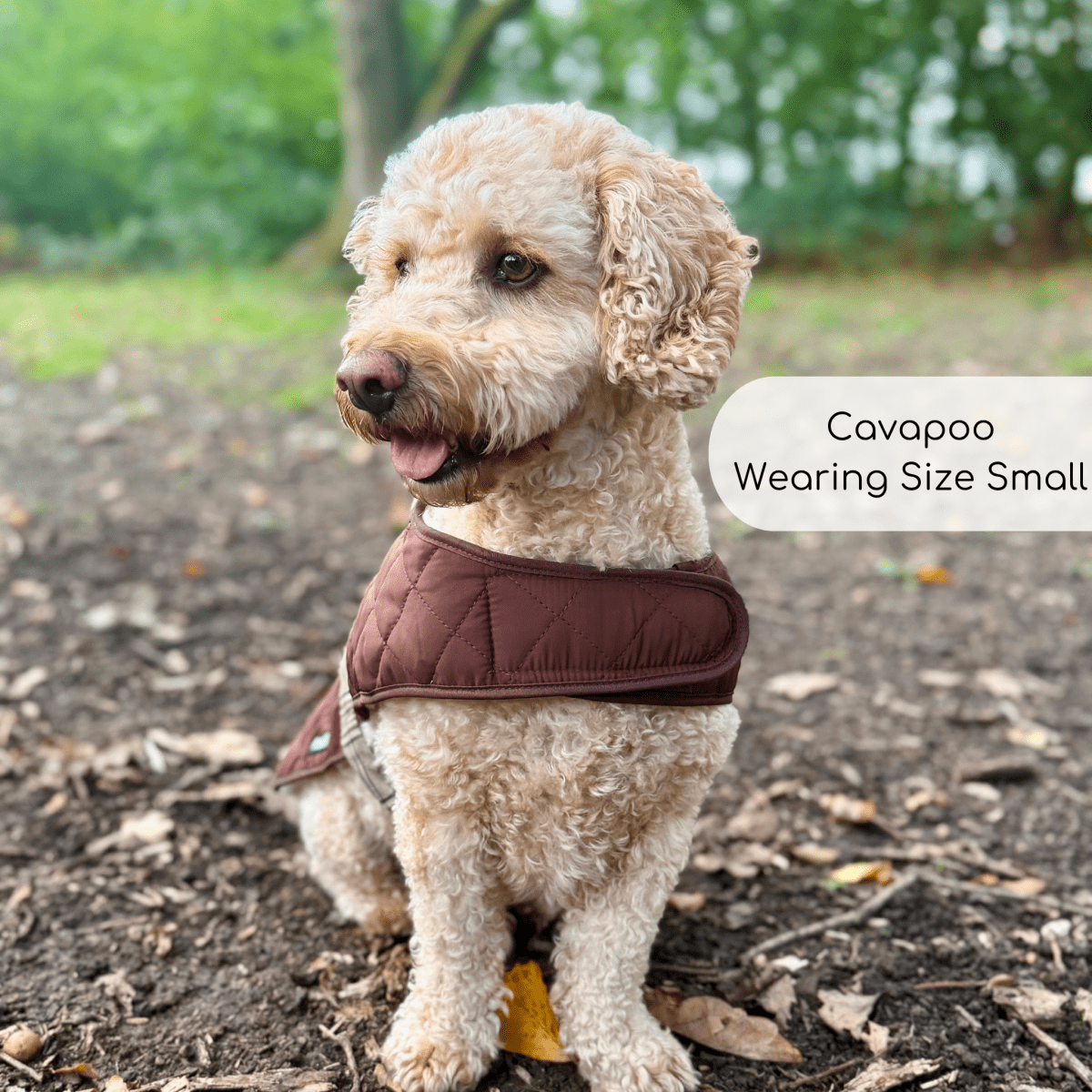 PupClub Couture Quilted Dog Coat - Foxbury Plaid