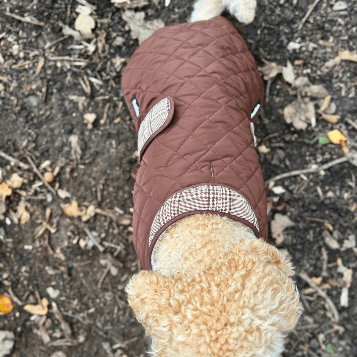 PupClub Couture Quilted Dog Coat - Foxbury Plaid