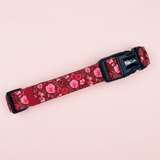 PupClub Couture Dog Collar - Burgundy Bloom