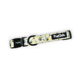 PupClub Couture Bee-utiful Summer Dog Collar