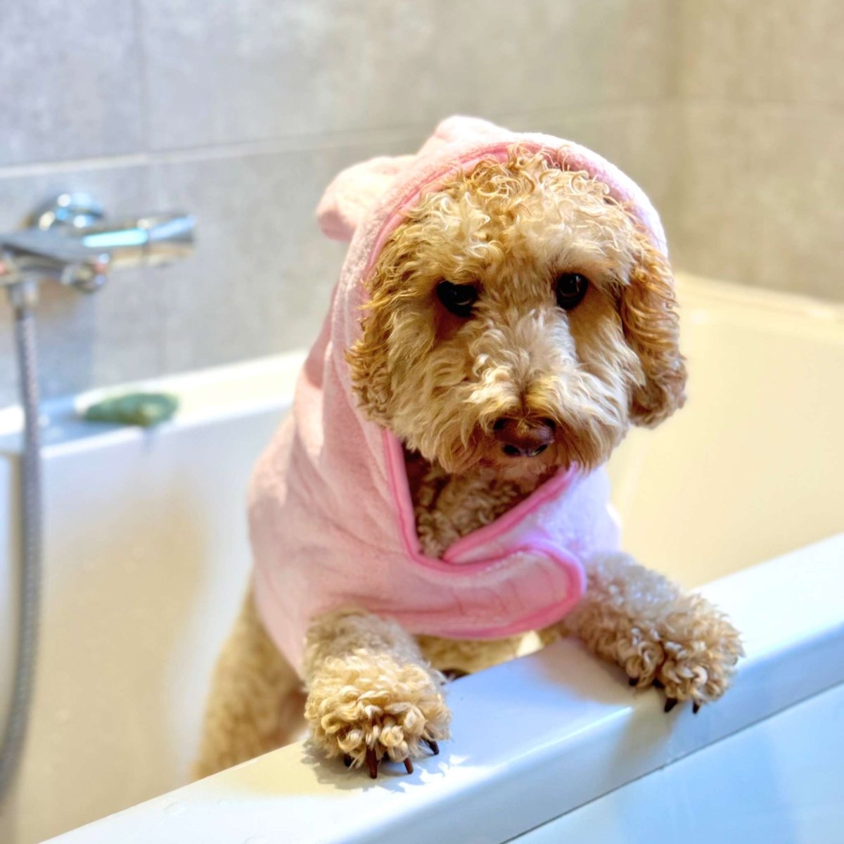 PupClub Couture Drying Robe - Pink