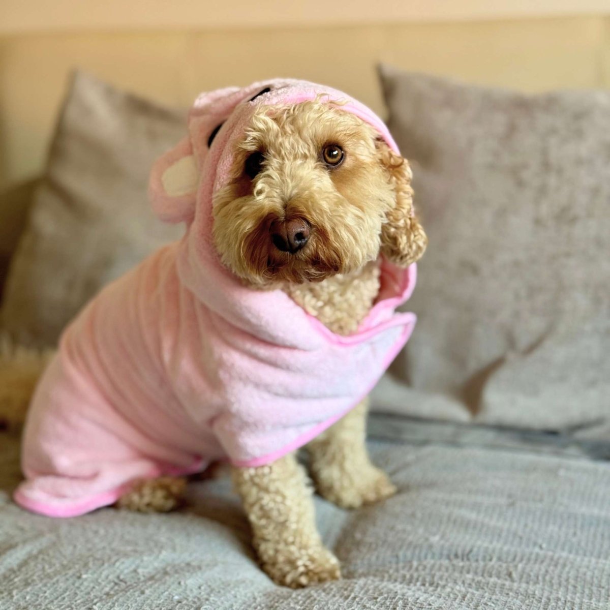 PupClub Couture Drying Robe - Pink