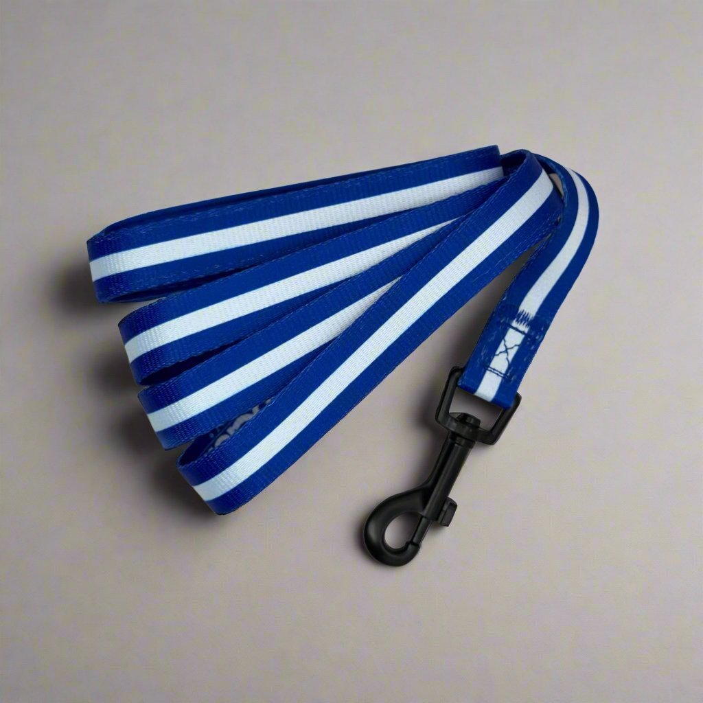 PupClub Couture Dog Lead - Royal Blue