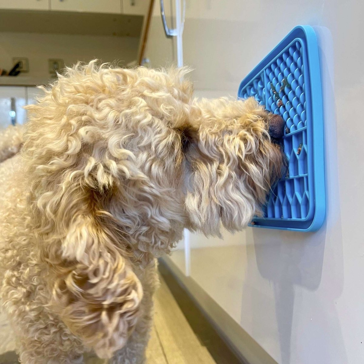PupClub Couture Dog Lick Mat - Blue