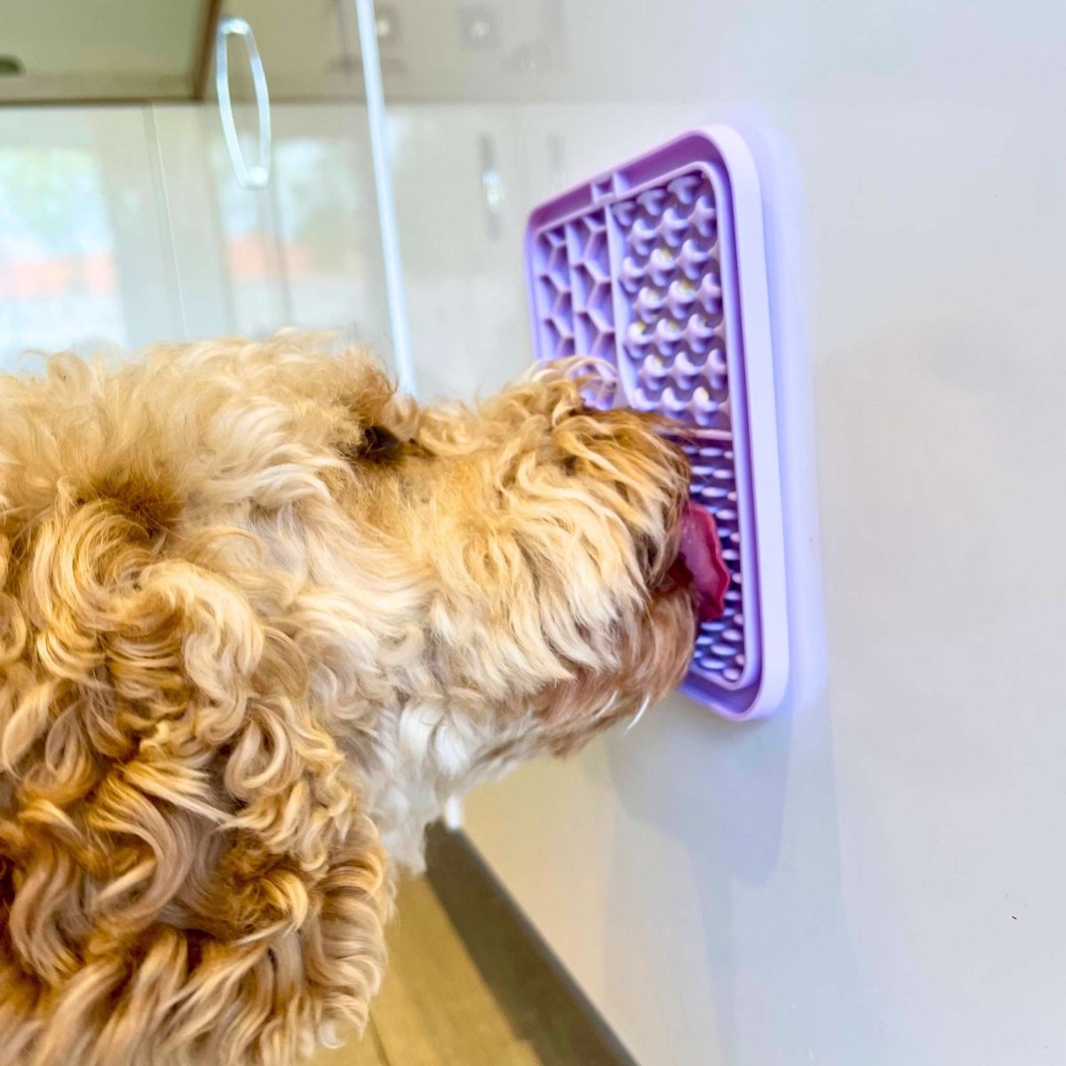 PupClub Couture Dog Lick Mat - Lilac