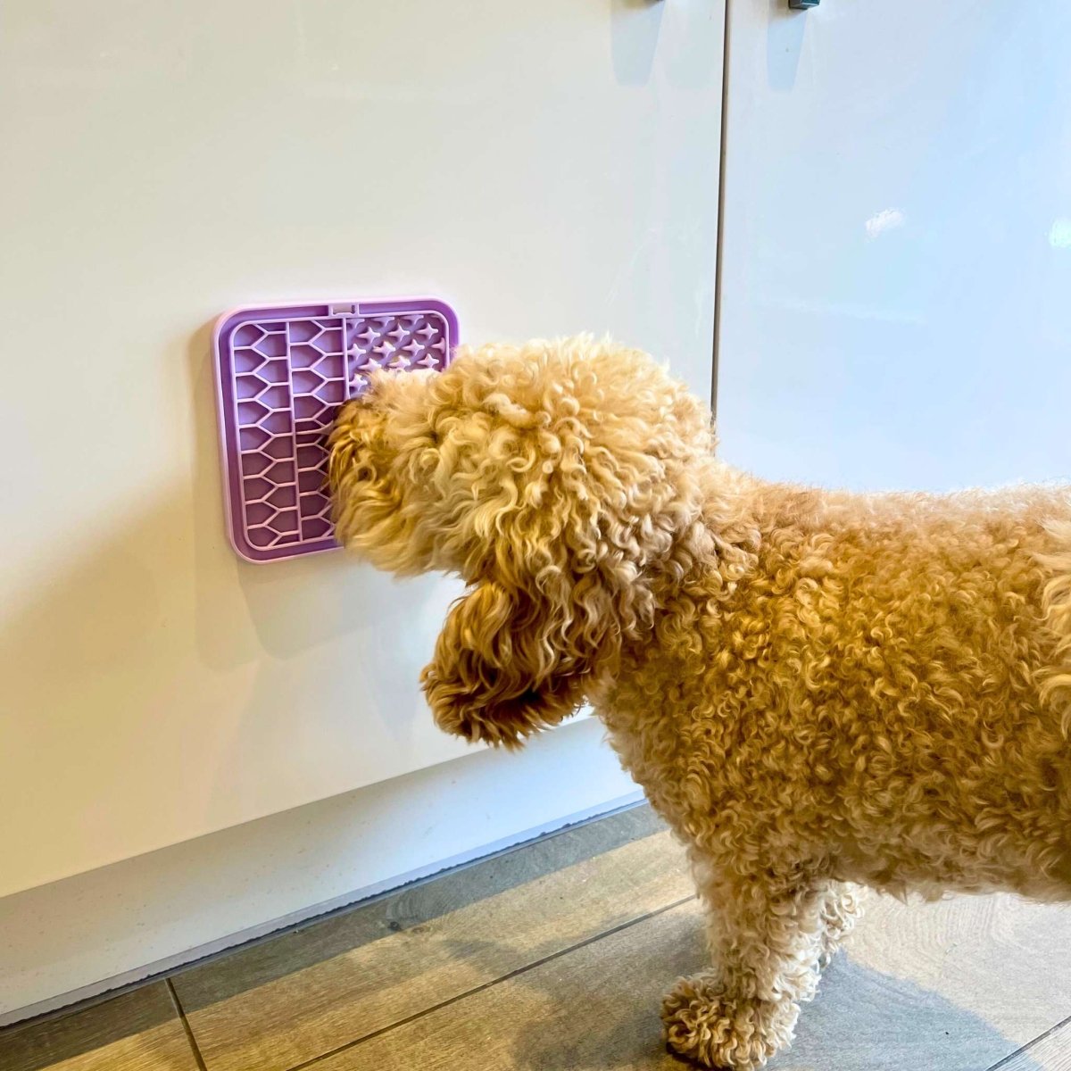PupClub Couture Dog Lick Mat - Lilac