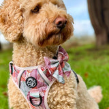 PupClub Couture Dog Sailor Bow - Autumn Breeze