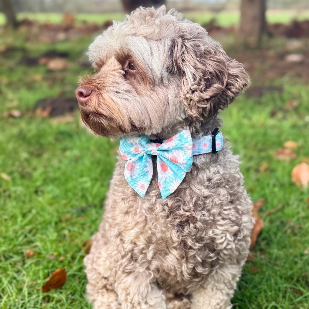 PupClub Couture Dog Sailor Bow - Pastel daisy