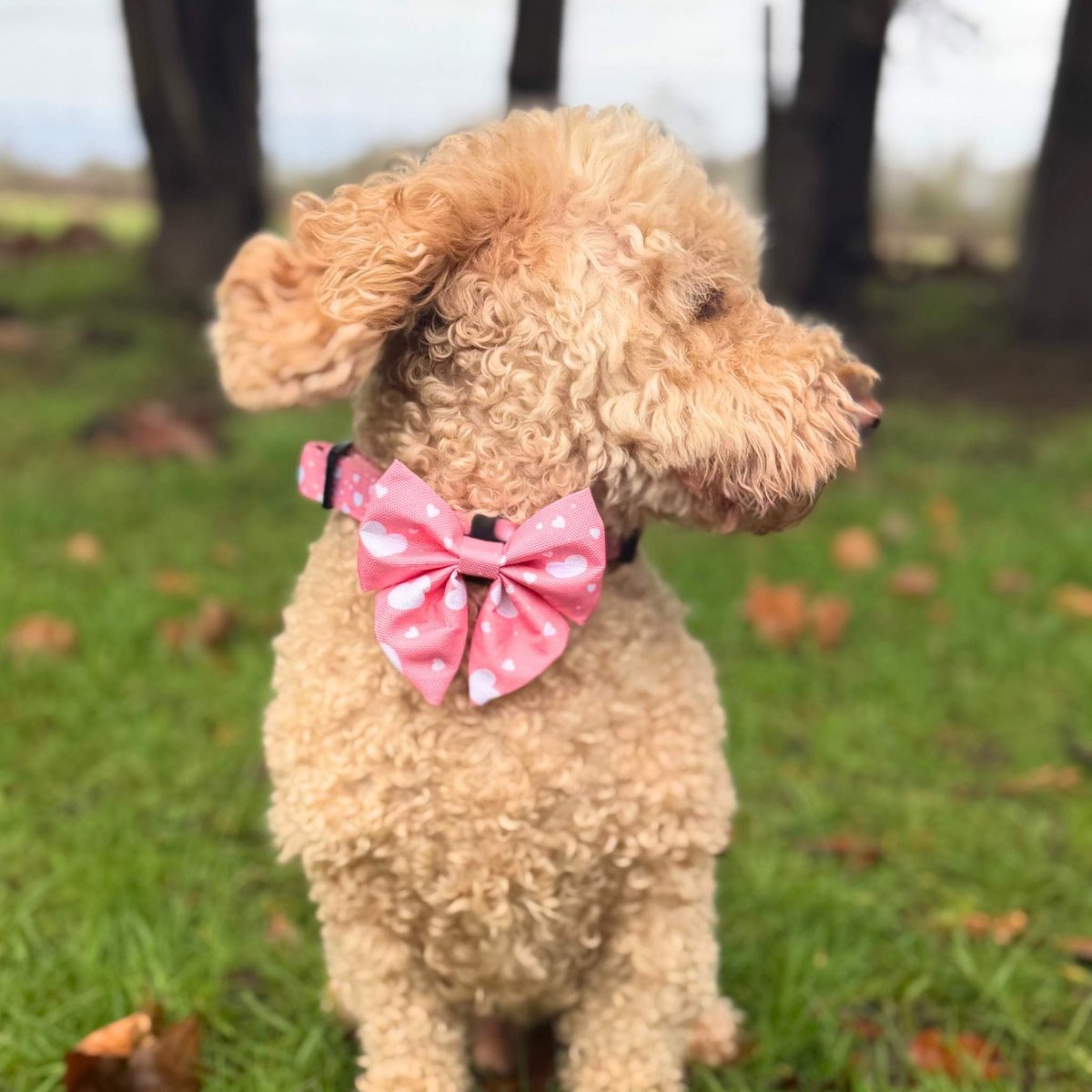 PupClub Couture Dog Sailor Bow - Peachy Hearts