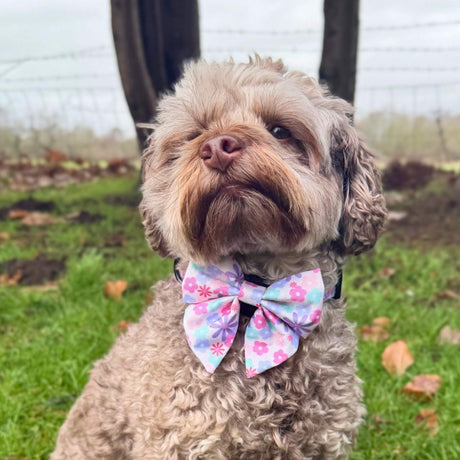 PupClub Couture Dog Sailor Bow - Pretty Petals
