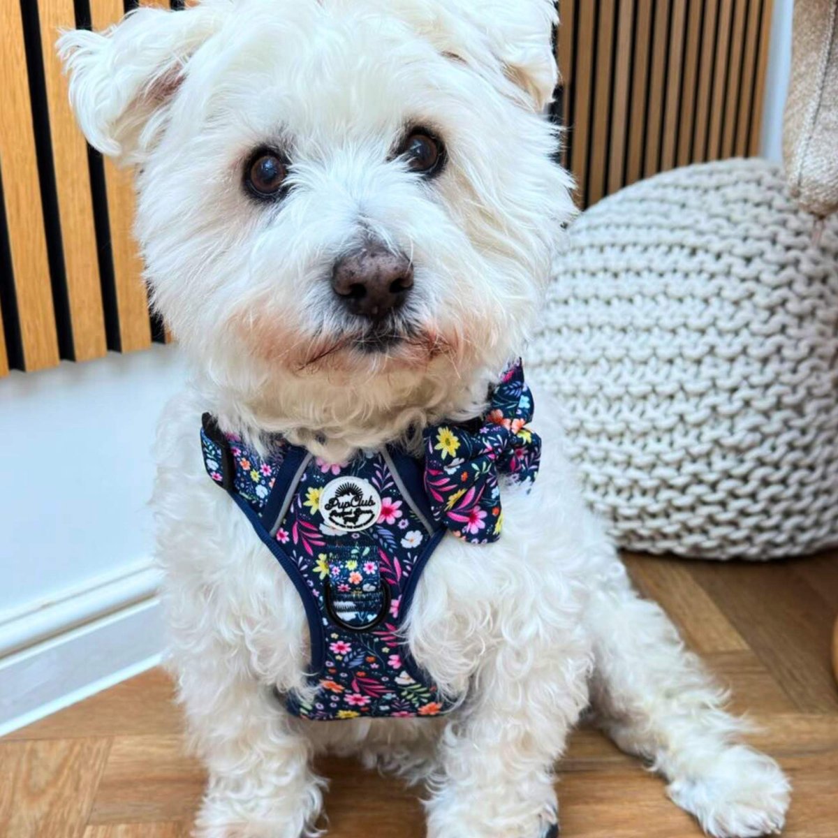 PupClub Couture Dog Sailor Bow - Summer Meadow